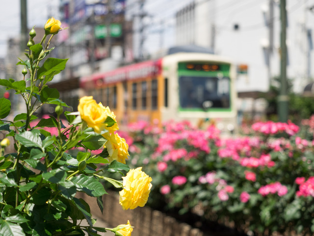 ���Ź�����5