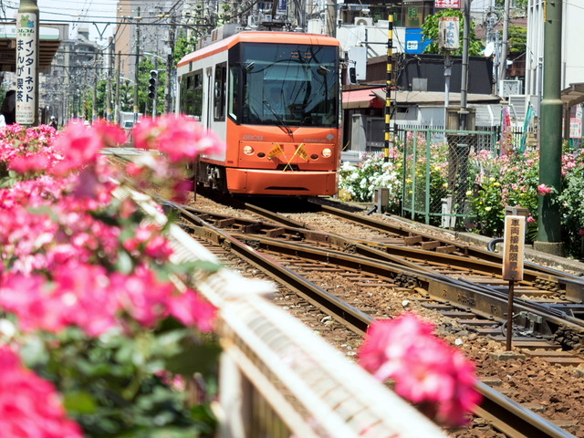 ���Ź�����8