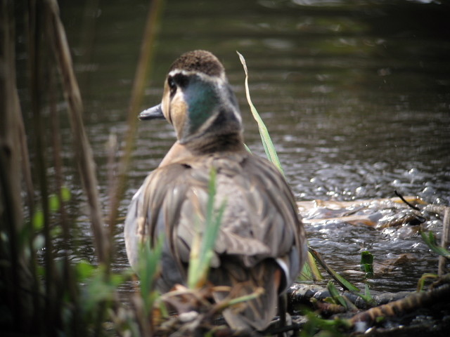 �ȥ⥨����12