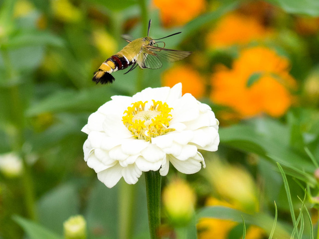 �����������ʎ�8