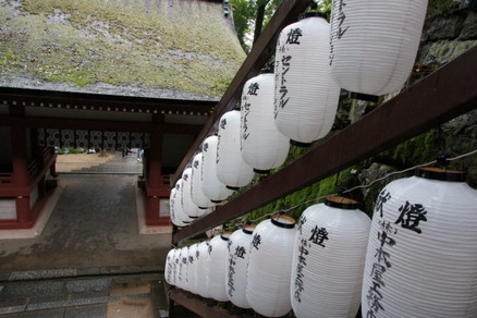 kibitu6
