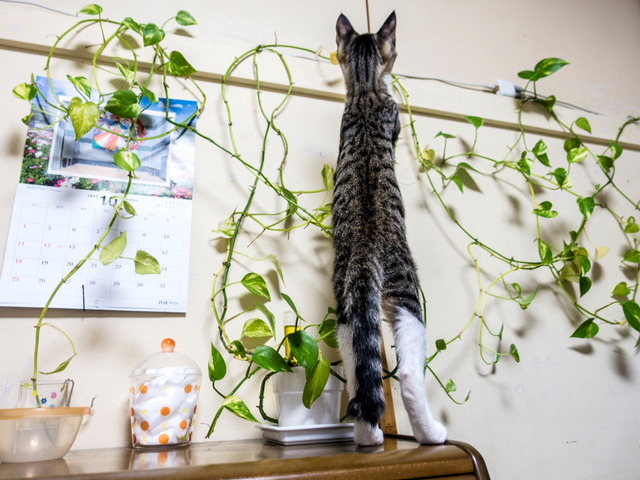 ���ͤ���02