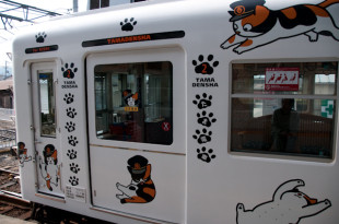 ��������3