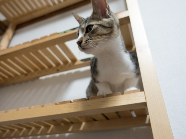 ���ͤ���08