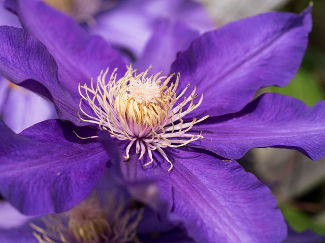 ���ڎώ���10