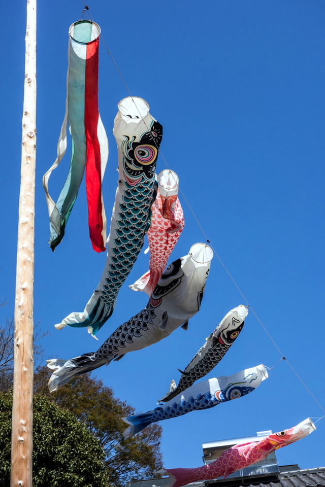 �����Τܤ�