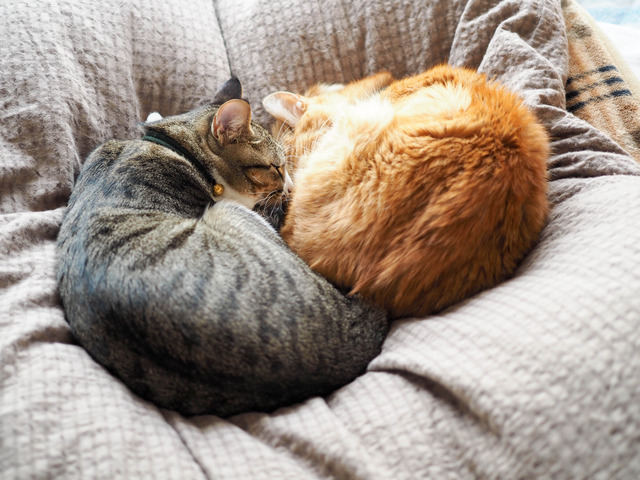 ���ͤ���14