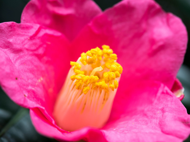 �������3