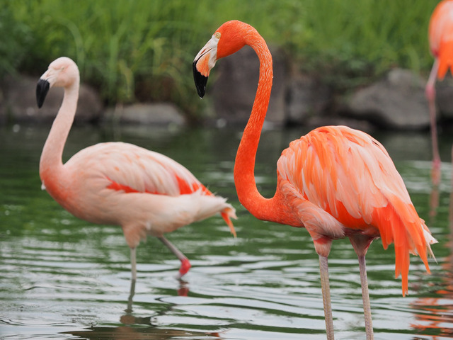 �̎׎Ўݎ���01