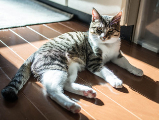 ���ͤ���9