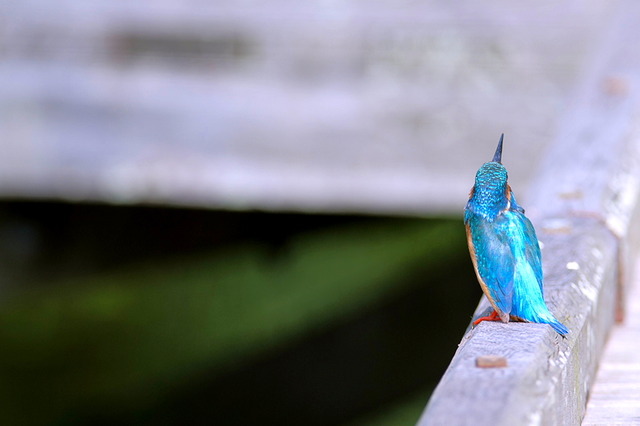 ���܎���20