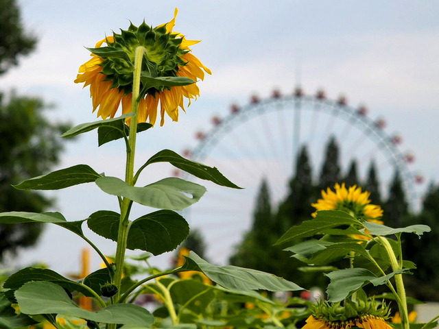 ������01