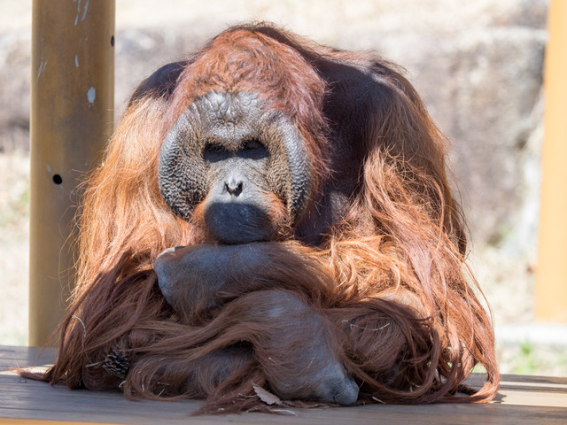 ���׎ݎ�������2