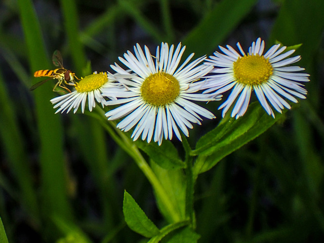 ���؎��ގێ�5