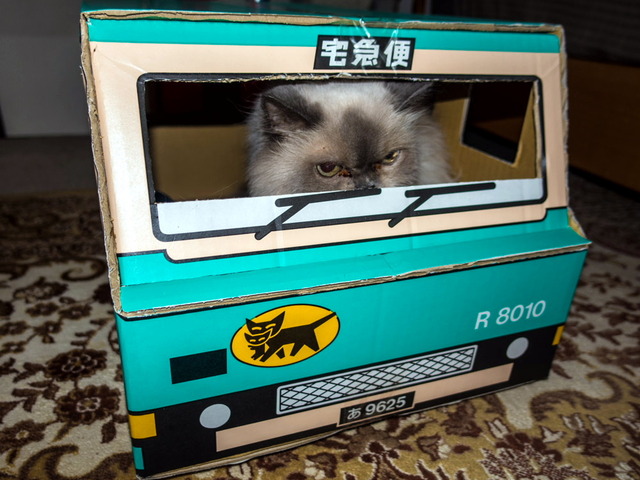 ��ǭ01