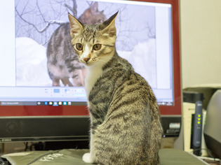 ���ͤ���13