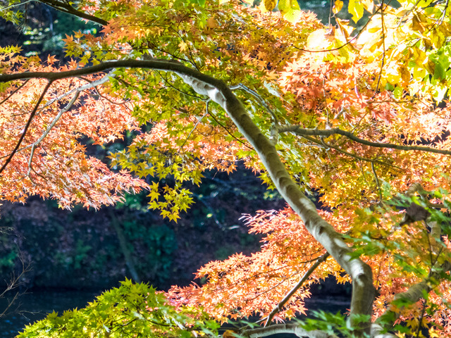 ������12