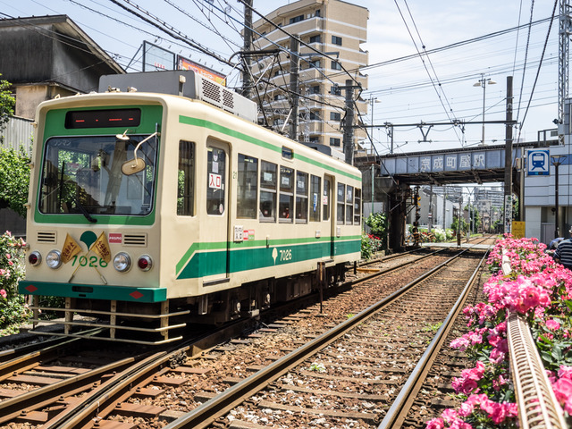 ���Ź�����9