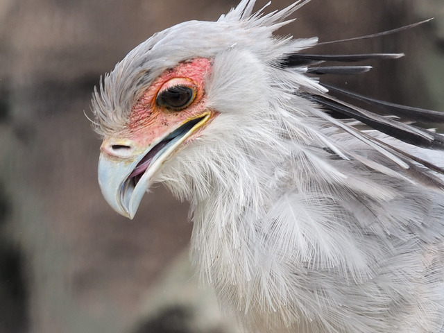 �͎ˎގ����܎�