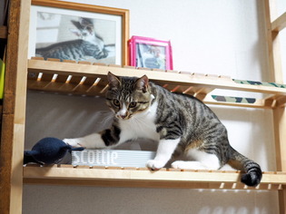 ���ͤ���7