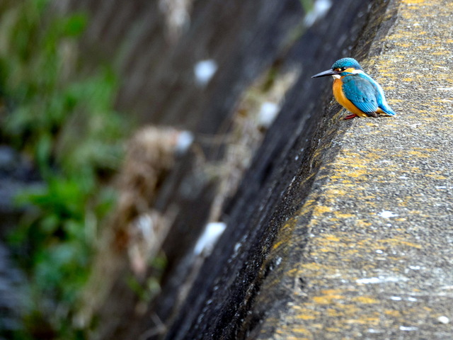 ���܎���3