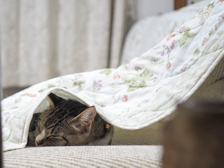 ���ͤ���3