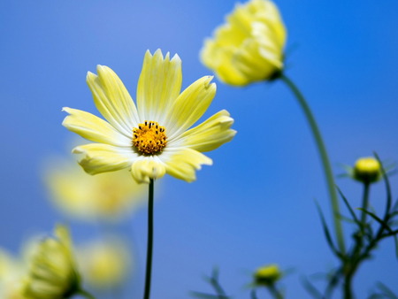 �����ӎ�1