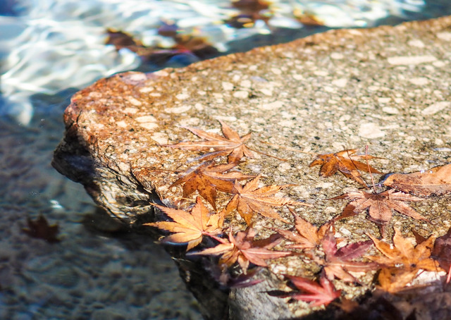 �����10