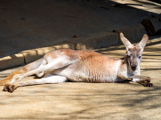 �������ݎ��ގَ�2