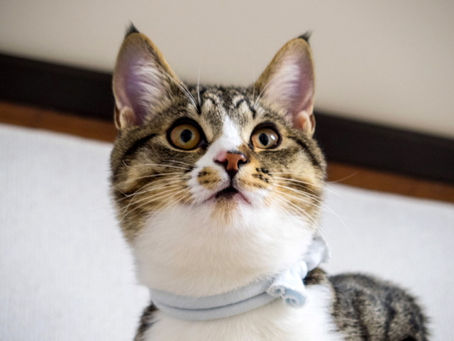 ���ͤ���9