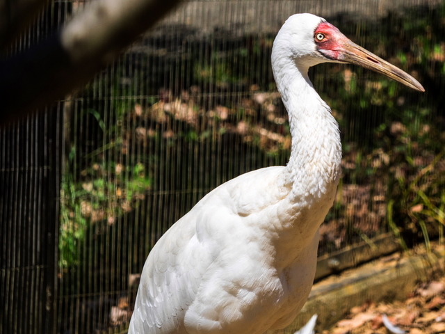 ���Îގ��ގێގ�