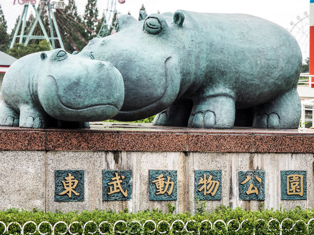 ����ưʪ����13