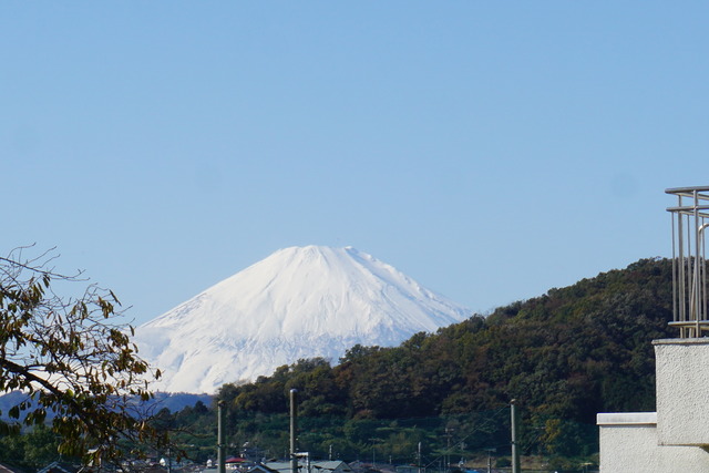 m11