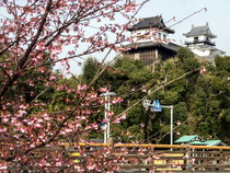 kakegawa2