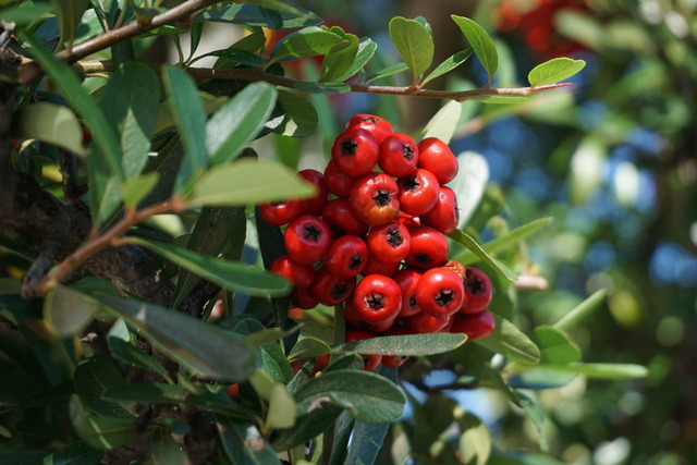 m3
