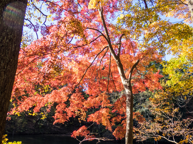 ������10