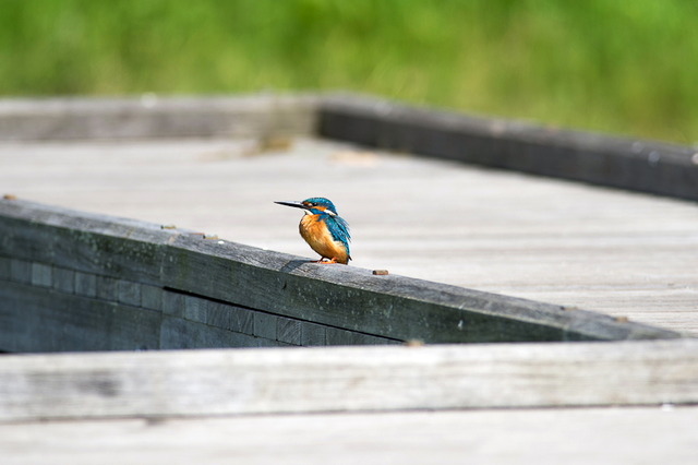 ���܎���18