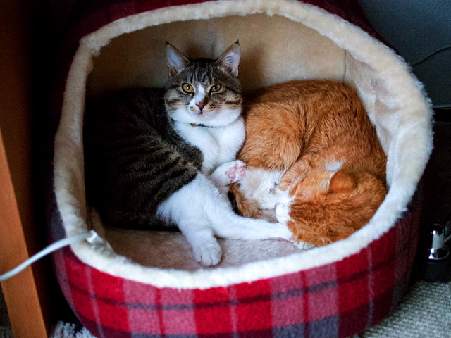 ���ͤ���01