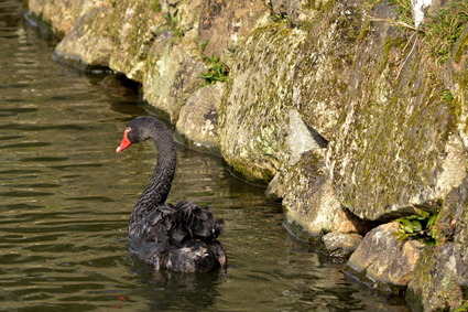 ����������