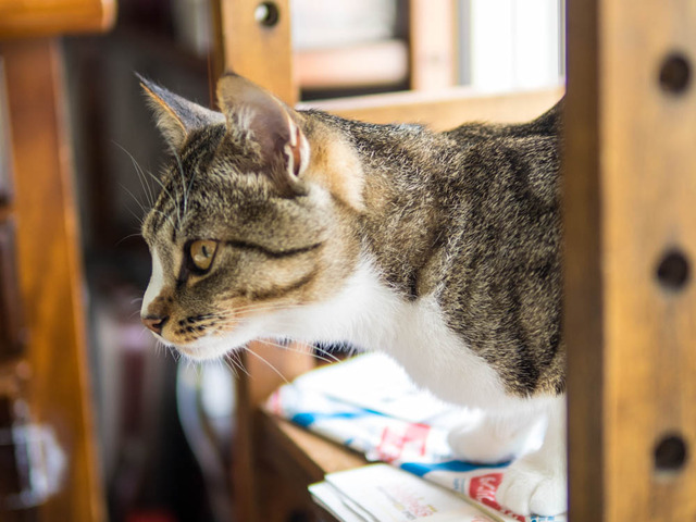 ���ͤ���04