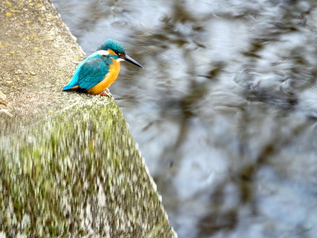 ���܎���9