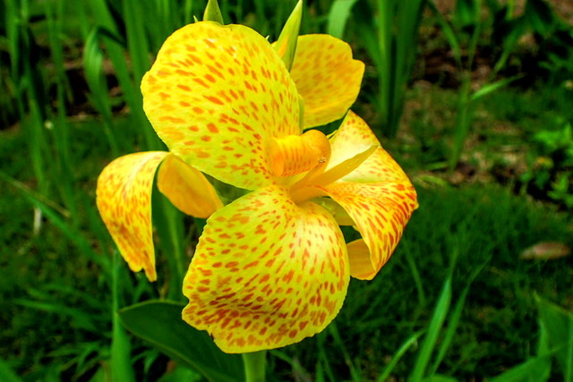 ���ގ׎��ގ��׎�2