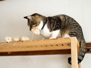 ���ͤ���02013