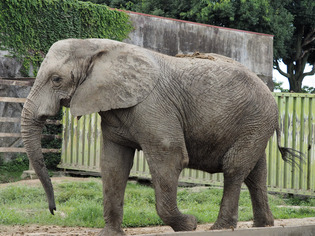 ���̎؎�����02