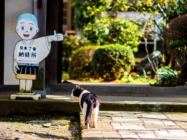 ������15