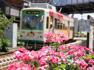 ���Ź�����12