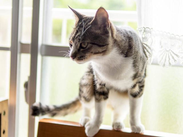 ���ͤ���06