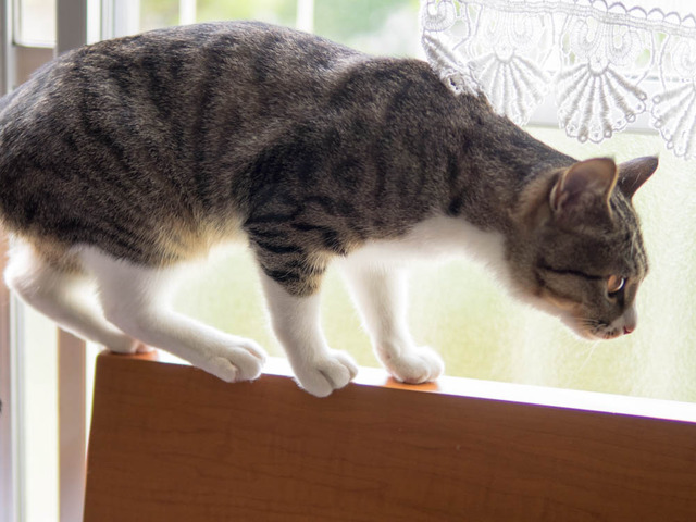 ���ͤ���05