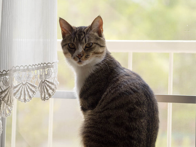 ���ͤ���08