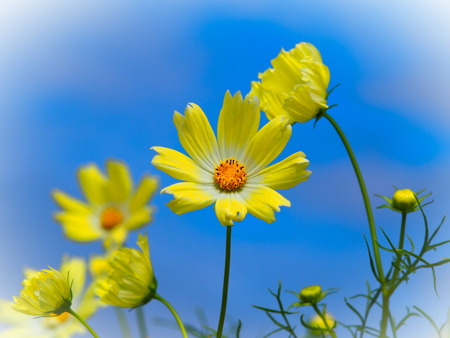 �����ӎ�2